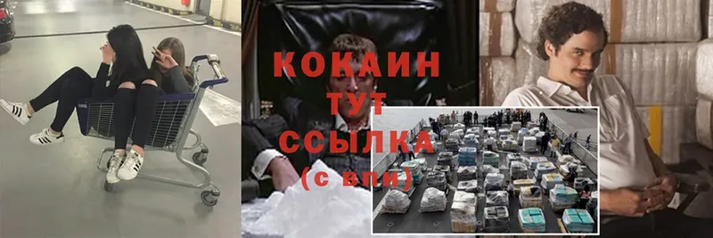 сколько стоит  Серафимович  COCAIN Columbia 