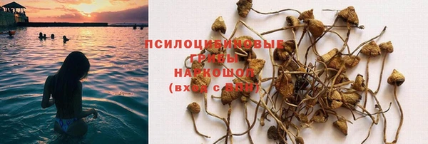 шишки Инсар