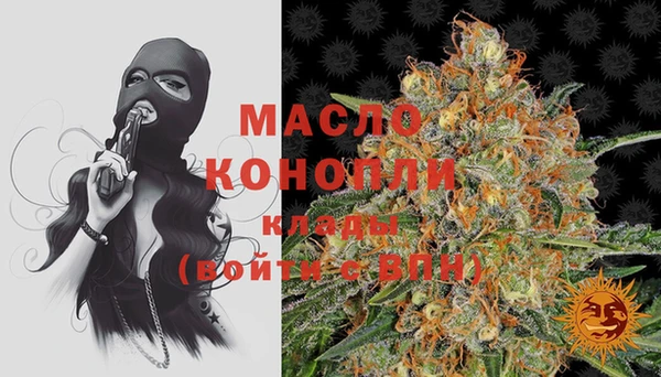 шишки Инсар