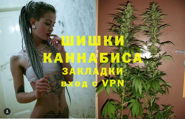 кристаллы Инта
